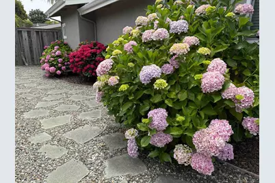 522 Spruce St, Aptos, CA 95003 - Photo 31