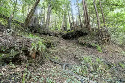 0 Pringle Ln, Soquel, CA 95073 - Photo 21