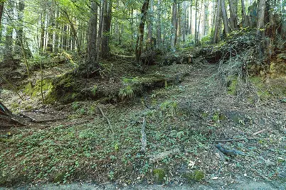 0 Pringle Ln, Soquel, CA 95073 - Photo 9