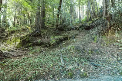 0 Pringle Ln, Soquel, CA 95073 - Photo 5