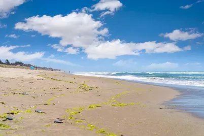 101 Shell Dr 3, Watsonville, CA 95076 - Photo 33