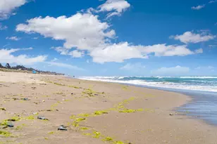 101 Shell Dr 3, Watsonville, CA 95076 - Photo 33