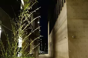 102 University Ave 3A 3B 3C, Palo Alto, CA 94301 - Photo 35