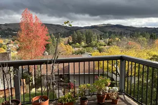 118 Merion Terrace, Moraga, CA 94556 - Photo 41