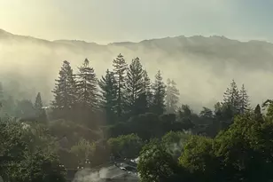 118 Merion Terrace, Moraga, CA 94556 - Photo 39