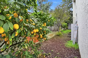 3572 Sunnydays Ln, Santa Clara, CA 95051 - Photo 33