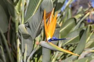 308 Hedge Rd, Menlo Park, CA 94025 - Photo 31