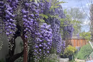 1660 Tawnygate Way, San Jose, CA 95124 - Photo 33