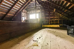 137 Elm St, San Mateo, CA 94401 - Photo 55