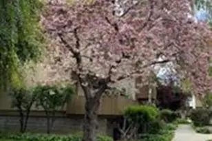 4415 Norwalk Dr 3, San Jose, CA 95129 - Photo 27