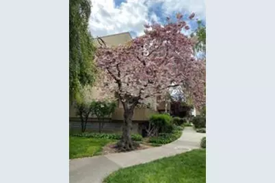 4415 Norwalk Dr 3, San Jose, CA 95129 - Photo 1