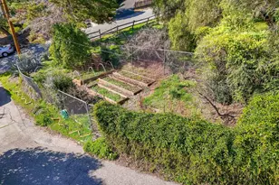 917 Holly Rd, Belmont, CA 94002 - Photo 3