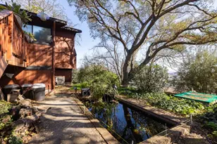 917 Holly Rd, Belmont, CA 94002 - Photo 39