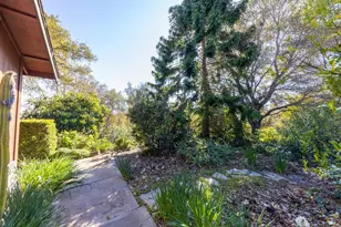 917 Holly Rd, Belmont, CA 94002 - Photo 45
