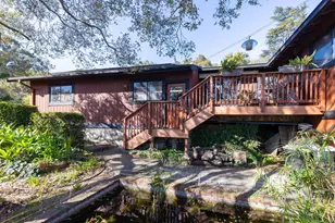 917 Holly Rd, Belmont, CA 94002 - Photo 43