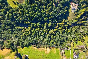 24580 Loma Prieta Ave, Los Gatos, CA 95033 - Photo 5