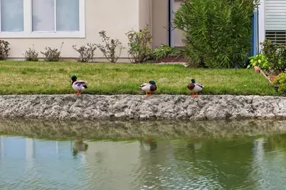 1 Mandalay Ct, Redwood City, CA 94065 - Photo 59