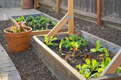 957 E Grant Pl, San Mateo, CA 94402 - Photo 21