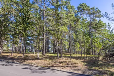 1401 Viscaino Rd, Pebble Beach, CA 93953 - Photo 9