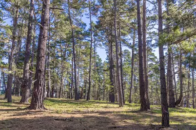 1401 Viscaino Rd, Pebble Beach, CA 93953 - Photo 7