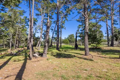 1407 Viscaino Rd, Pebble Beach, CA 93953 - Photo 7
