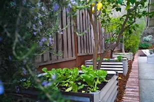 21685 Regnart Rd, Cupertino, CA 95014 - Photo 69