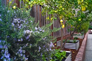 21685 Regnart Rd, Cupertino, CA 95014 - Photo 59