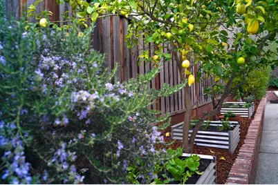 21685 Regnart Rd, Cupertino, CA 95014 - Photo 71