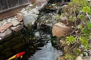 1406 Dentwood Dr, San Jose, CA 95118 - Photo 17