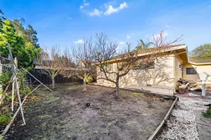 642 Fourteenth Ave, Menlo Park, CA 94025 - Photo 29