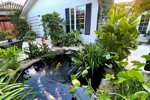 1516 Ivan Pl, San Jose, CA 95120 - Photo 51