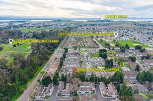 34767 Shalimar Terrace, Fremont, CA 94555 - Photo 35