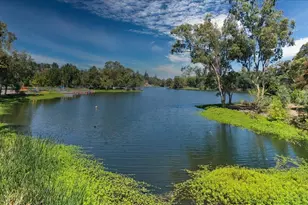 101 Ravinia Way, Los Gatos, CA 95032 - Photo 47