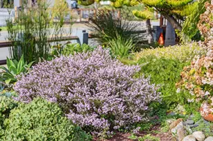 1021 Webster St, Santa Cruz, CA 95062 - Photo 55