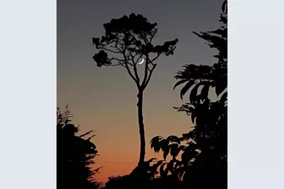 306 Crocker Ave, Pacific Grove, CA 93950 - Photo 27