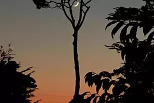 306 Crocker Ave, Pacific Grove, CA 93950 - Photo 27