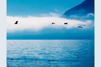 6726 Lakeshore Blvd, Lucerne, CA 95458 - Photo 23