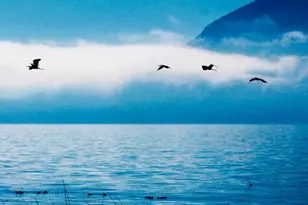 6726 Lakeshore Blvd, Lucerne, CA 95458 - Photo 23