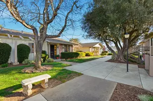 5092 Cribari Pl, San Jose, CA 95135 - Photo 11