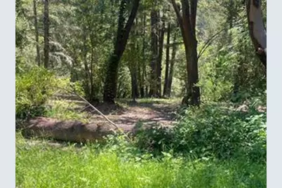 17000 Bear Creek Rd, Boulder Creek, CA 95006 - Photo 5