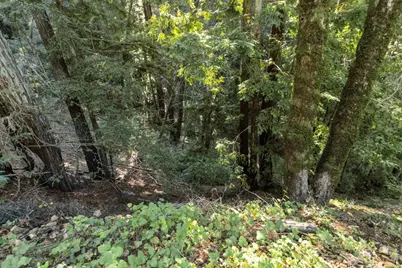 43 and 44 Buckeye St, Felton, CA 95018 - Photo 3