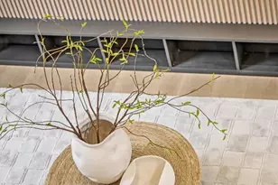 2868 Hemlock Ave, San Jose, CA 95128 - Photo 11