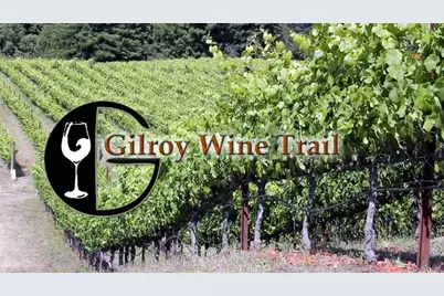 1387 Ores Way, Gilroy, CA 95020 - Photo 55