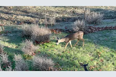 1232 Copper Peak Ln, San Jose, CA 95120 - Photo 49