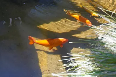 95 Red Rock Way 203M, San Francisco, CA 94131 - Photo 27