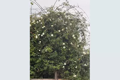 1544 Saguaro Dr, Salinas, CA 93905 - Photo 37