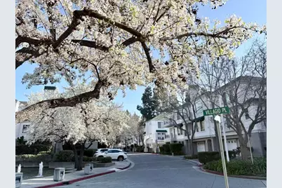 455 Navaro Way 203, San Jose, CA 95134 - Photo 3