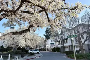 455 Navaro Way 203, San Jose, CA 95134 - Photo 3