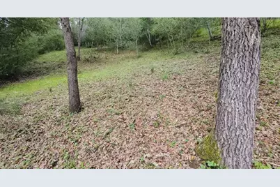 15971 Forest Hill Dr, Boulder Creek, CA 95006 - Photo 3