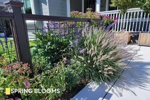 380 San Carlos Ave, Redwood City, CA 94061 - Photo 27